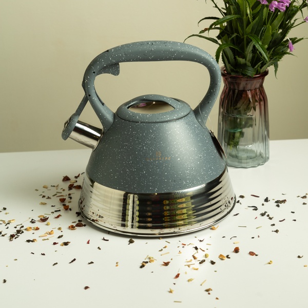 Чайник со свистком (серый) EDENBERG EB - 8827